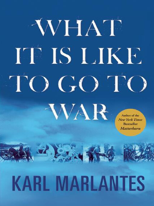 Cover image for What It Is Like to Go to War